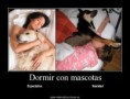 /album/fotogaleria/imagenes-chistosas-mascotas-jpg/